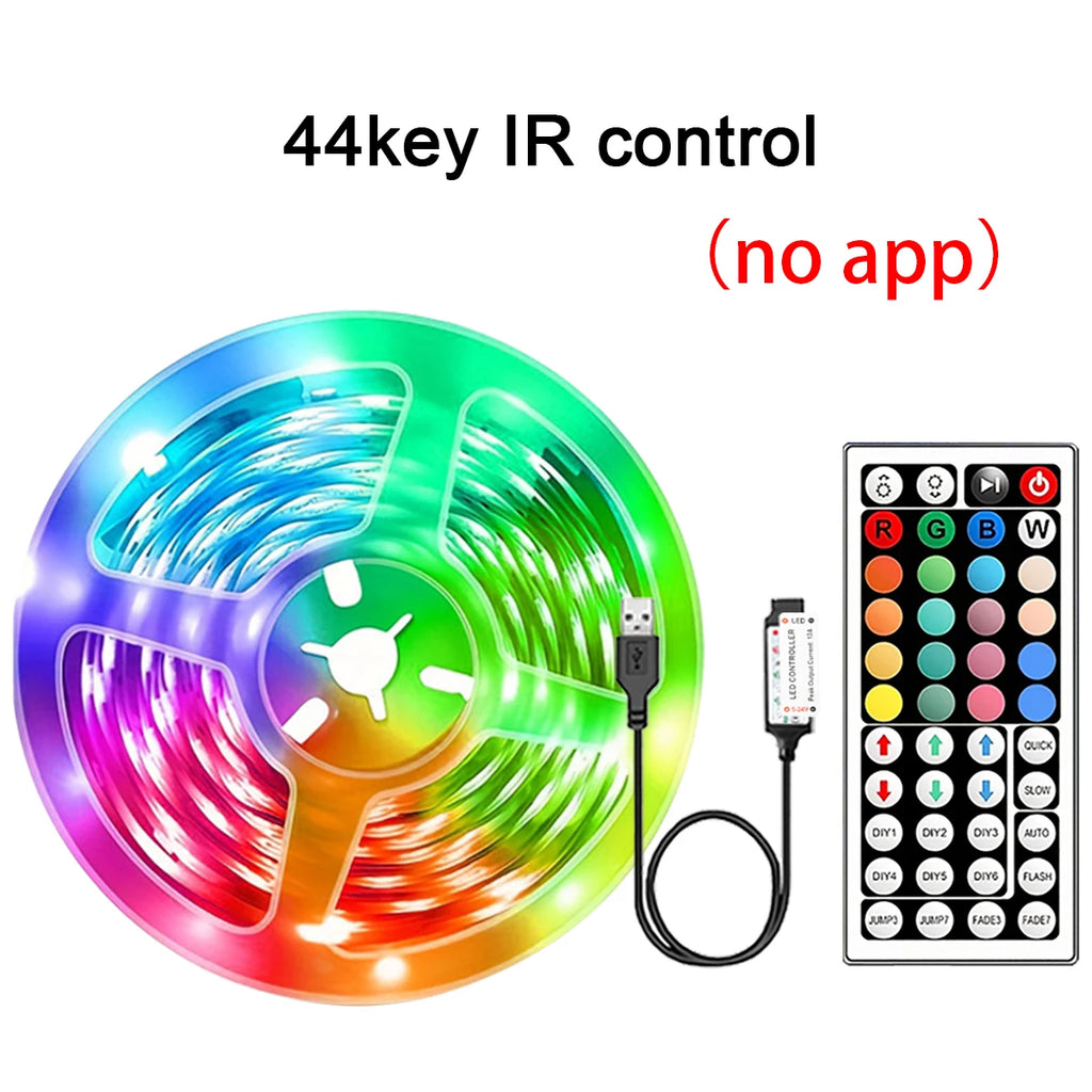 Product photo of RGB LED strip lights